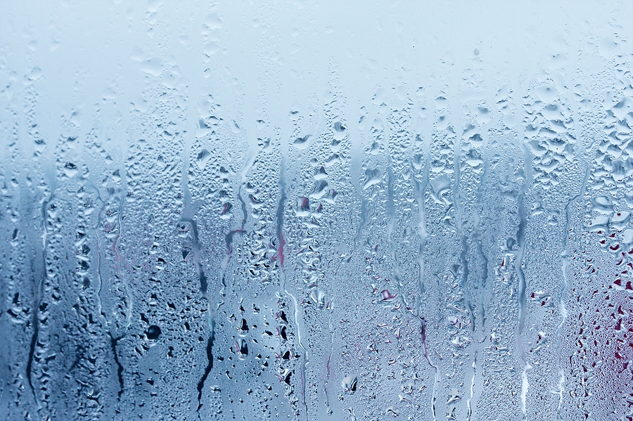 Humidity causing moisture on a Ft. Lauderdale area office window