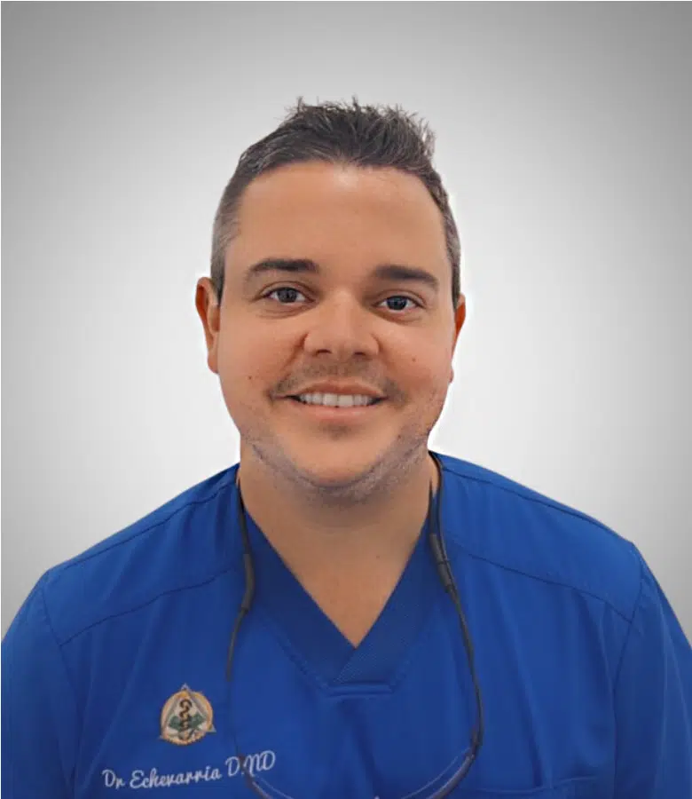 Javier Echevarria, DMD
