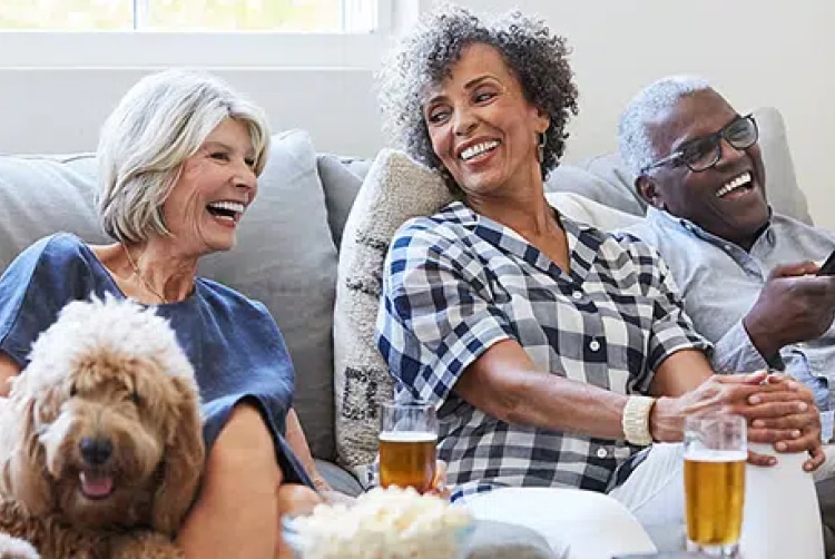 What are Dental Veneers?
